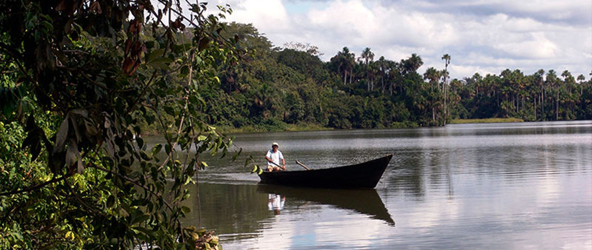 peru jungle trips manu tours trips fenix peru travel