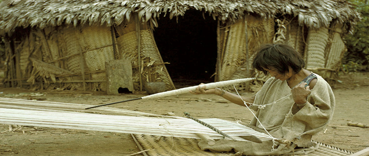 peru travel jungle trips amazon fenix cusco machupicchu