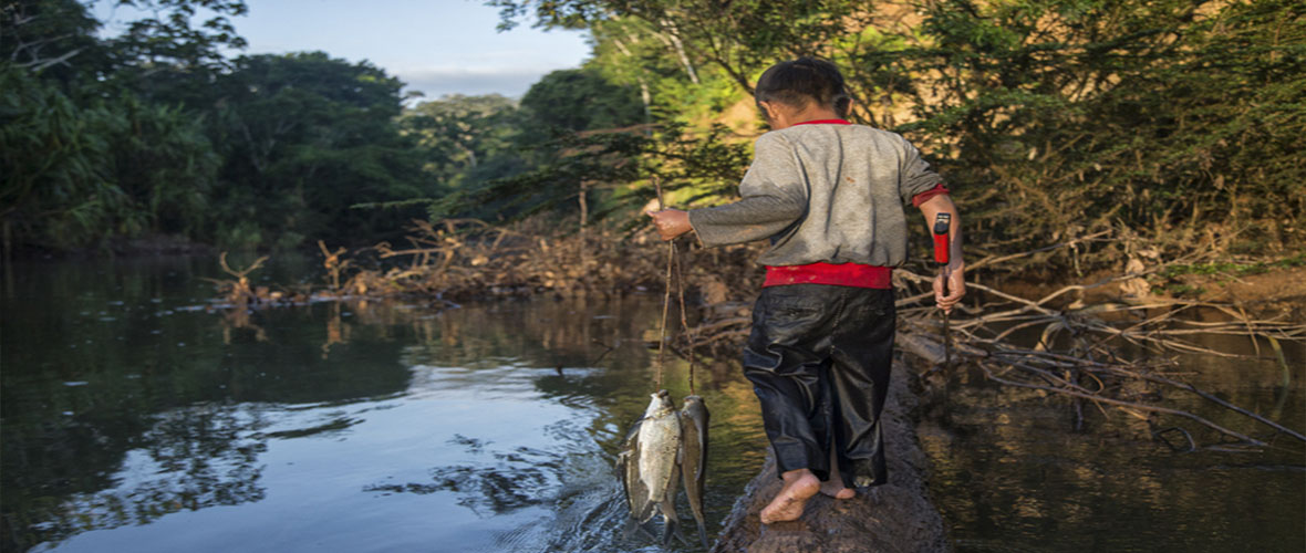 peru travel jungle trips amazon fenix cusco machupicchu